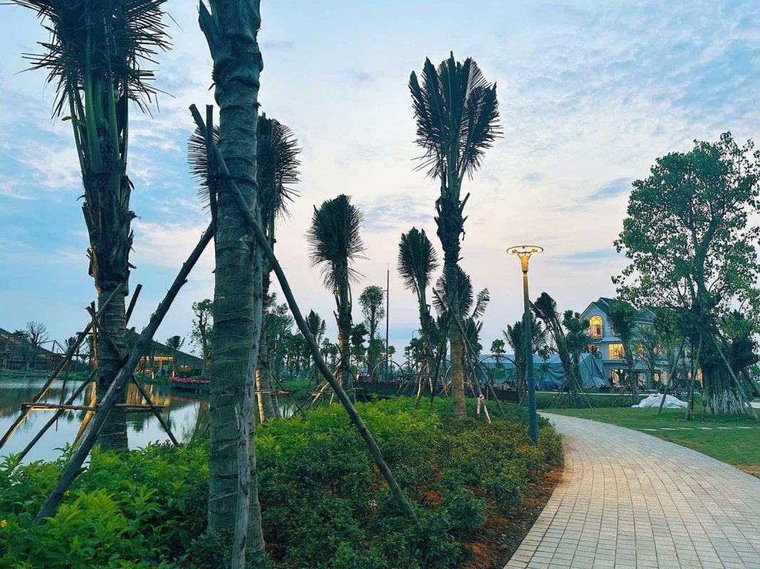 Công viên hồ Thiên Nga Eco Central Park mở cửa dịp lễ 30/4 chào đón cư dân tương lai - Ảnh 4.