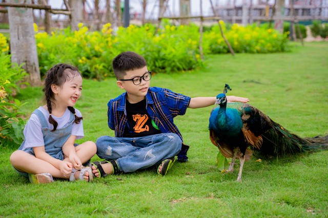 Cư dân Eco Central Park chờ đợi lễ hội mùa hè lớn nhất miền Trung - Ảnh 7. Cư dân Eco Central Park chờ đợi lễ hội mùa hè lớn nhất miền Trung - Ảnh 7.