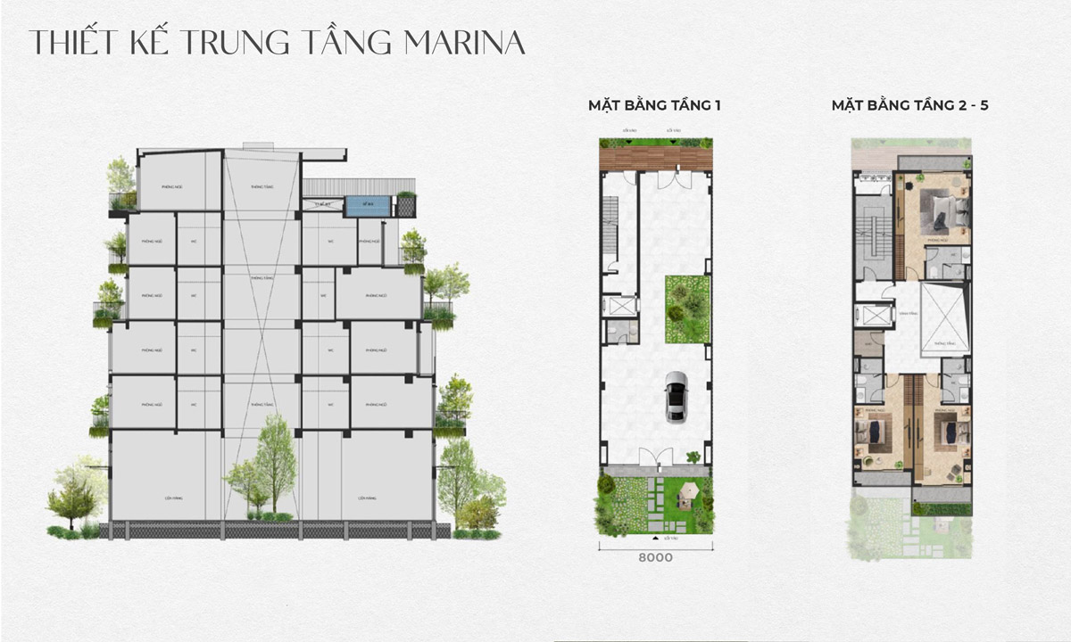 thiet-the-trung-tang-marina