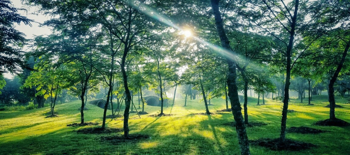 tien-ich-xanh-du-an-ecopark-vinh